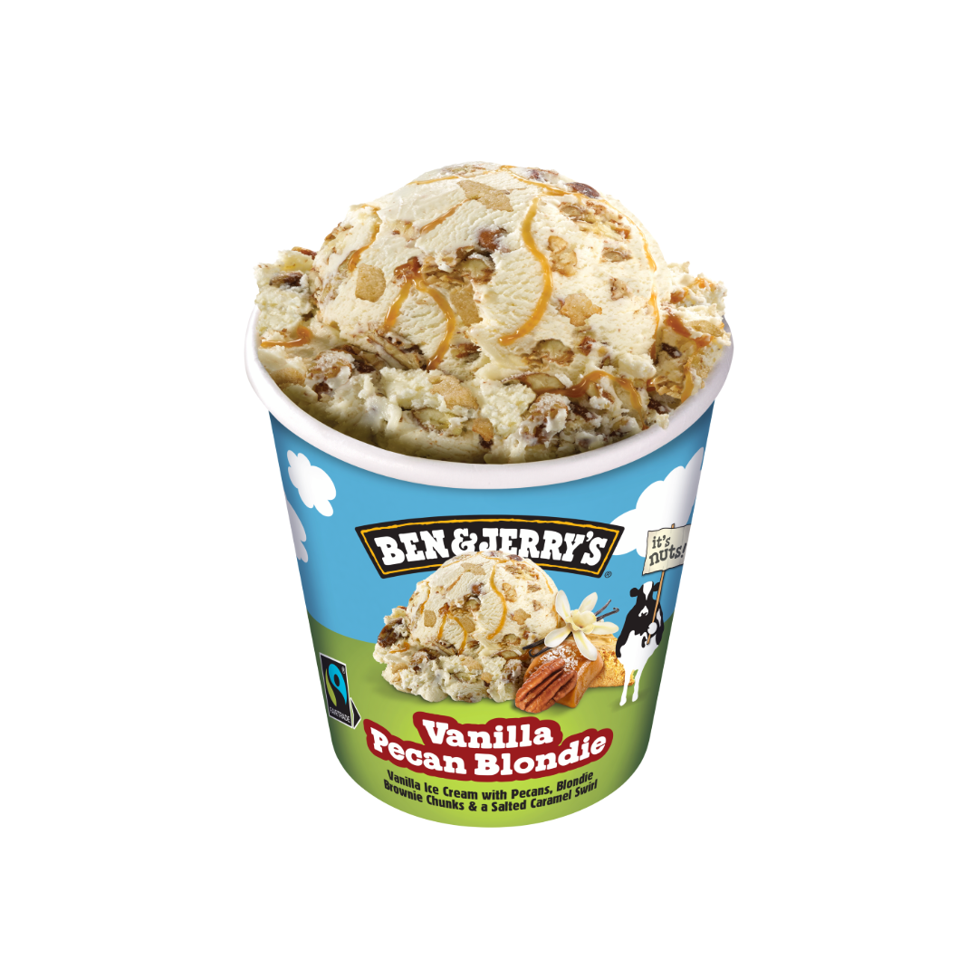 B&J Vanilla Pecan Blondie 465ml